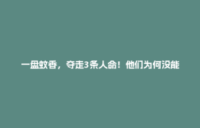 一盘蚊香，夺走3条人命！他们为何没能逃出来？