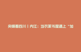 央媒看四川丨内江：当农家书屋遇上“加法”