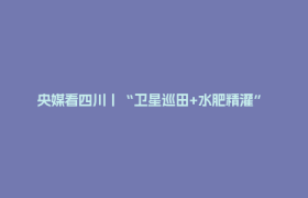 央媒看四川丨“卫星巡田+水肥精灌” 四川以智慧农业护航粮食生产