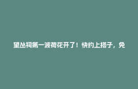望丛祠第一波荷花开了！快约上搭子，免费拍古风大片！