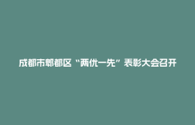 成都市郫都区“两优一先”表彰大会召开