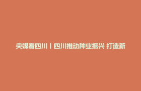 央媒看四川丨四川推动种业振兴 打造新时代更高水平的“天府粮仓”