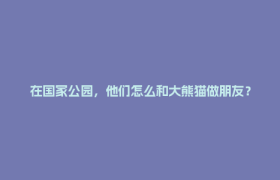 在国家公园，他们怎么和大熊猫做朋友？丨美丽中国行