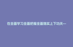 在全面学习全面把握全面落实上下功夫——四川持续推动学习贯彻习近平党建思想走深走实（上）