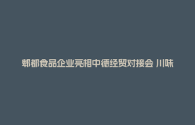 郫都食品企业亮相中德经贸对接会 川味好物瞄准欧洲市场