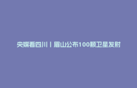 央媒看四川丨眉山公布100颗卫星发射计划