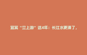 宜宾“立上游”这4年：长江水更清了，年轻人留下来了｜践行嘱托 感恩奋进