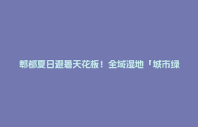 郫都夏日避暑天花板！全域湿地「城市绿肺」游玩全指南