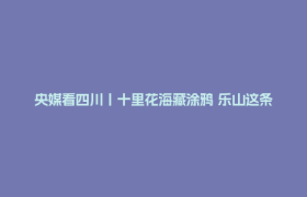 央媒看四川丨十里花海藏涂鸦 乐山这条城际公路浪漫出圈