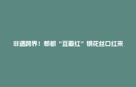 非遗跨界！郫都“豆瓣红”银花丝口红来了