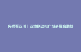 央媒看四川丨四地联动推广城乡融合助残模式