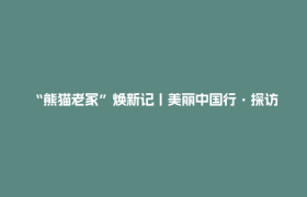 “熊猫老家”焕新记丨美丽中国行·探访大熊猫国家公园