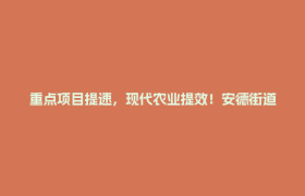 重点项目提速，现代农业提效！安德街道以产业点亮乡村