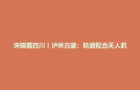 央媒看四川丨泸州古蔺：轨道配合无人机 鲜果出山抢时效