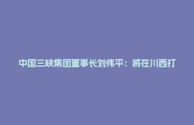中国三峡集团董事长刘伟平：将在川西打造千万千瓦级清洁能源示范基地丨2026中外知名企业四川行
