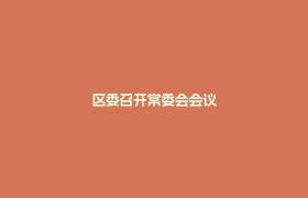 区委召开常委会会议