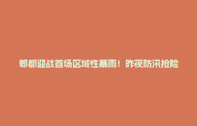 郫都迎战首场区域性暴雨！昨夜防汛抢险纪实→