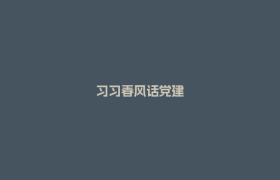 习习春风话党建
