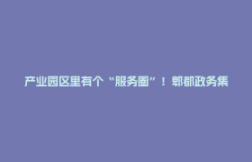 产业园区里有个“服务圈”！郫都政务集成进园区的破局之道