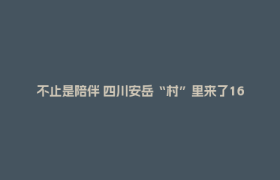 不止是陪伴 四川安岳“村”里来了162个年轻人