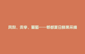 凤梨、贡李、葡萄……郫都夏日鲜果采摘，安排→