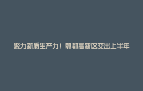 聚力新质生产力！郫都高新区交出上半年高质量发展亮眼答卷