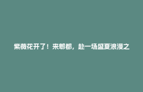 紫薇花开了！来郫都，赴一场盛夏浪漫之约