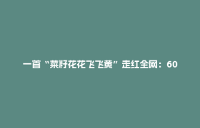 一首“菜籽花花飞飞黄”走红全网：60名留守儿童“合唱团”从蓬溪唱到全国