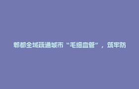 郫都全域疏通城市“毛细血管”，筑牢防汛安全线！