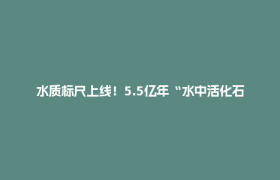 水质标尺上线！5.5亿年“水中活化石”现身达州开江