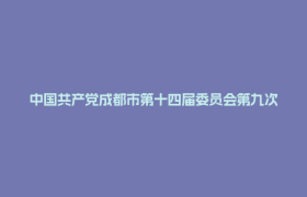 中国共产党成都市第十四届委员会第九次全体会议决议