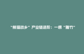 “熊猫故乡”产业链进阶：一根“雅竹”的N种“吃”法