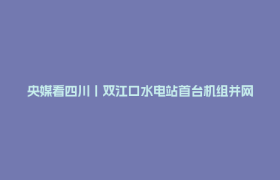 央媒看四川丨双江口水电站首台机组并网发电 高山峡谷间建起世界第一高坝