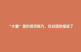 “大暑”里的清凉秘方，在战国就编进了竹席丨百馆百物·四川宝藏第四季