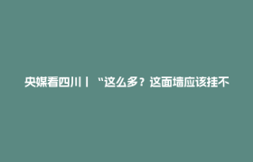央媒看四川丨“这么多？这面墙应该挂不下！”