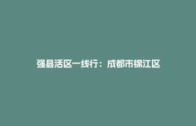 强县活区一线行：成都市锦江区