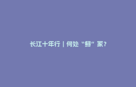 长江十年行｜何处“鲟”家？