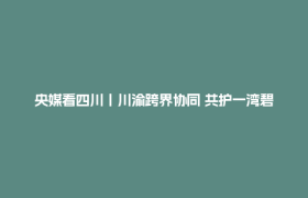 央媒看四川丨川渝跨界协同 共护一湾碧水