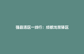 强县活区一线行：成都龙泉驿区