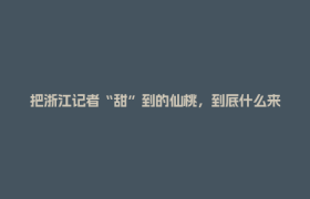 把浙江记者“甜”到的仙桃，到底什么来头？｜浙川同行·寻美乡村——问道甘孜
