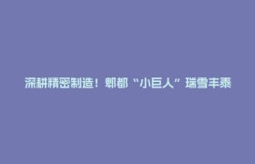 深耕精密制造！郫都“小巨人”瑞雪丰泰勇拓商业航天版图