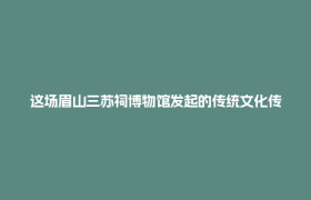 这场眉山三苏祠博物馆发起的传统文化传承公益性试验，到底试出了啥？