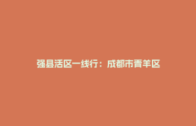 强县活区一线行：成都市青羊区