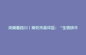 央媒看四川丨南充市高坪区：“生锈铁牛”苏醒了