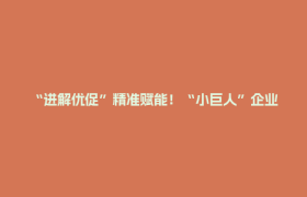 “进解优促”精准赋能！“小巨人”企业跑出发展加速度