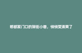 郫都家门口的背街小巷，悄悄变清爽了