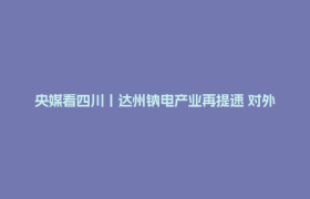 央媒看四川丨达州钠电产业再提速 对外合作开启欧洲市场布局