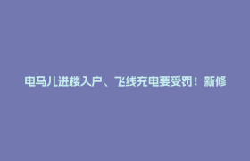 电马儿进楼入户、飞线充电要受罚！新修订的《成都市消防条例》11月9日施行