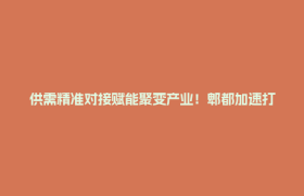 供需精准对接赋能聚变产业！郫都加速打造聚变级精密制造特色产业集群
