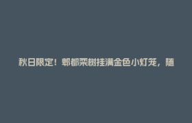 秋日限定！郫都栾树挂满金色小灯笼，随手拍即是大片
